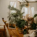 Luxussátor Kaluna Glamp Jungle *