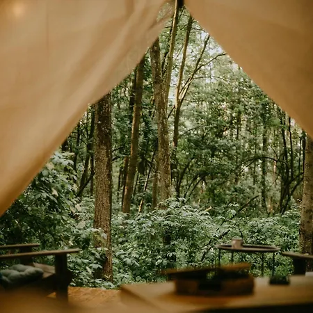 Kaluna Glamp Jungle Luxury tent *