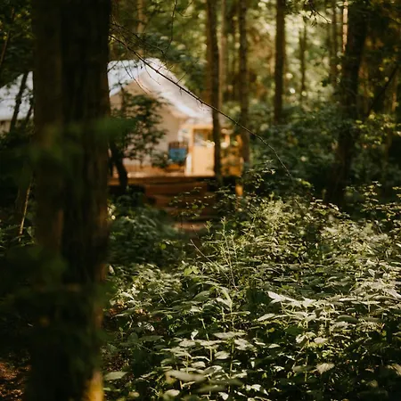 Campismo de Luxo Kaluna Glamp Jungle Swaderki