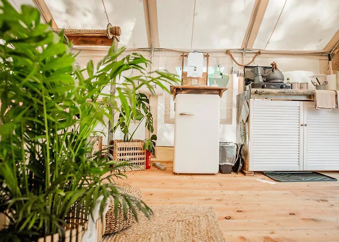 Kaluna Glamp Jungle Swaderki