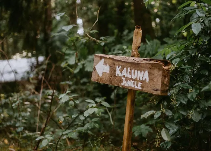 Luxusní stan Kaluna Glamp Jungle Swaderki