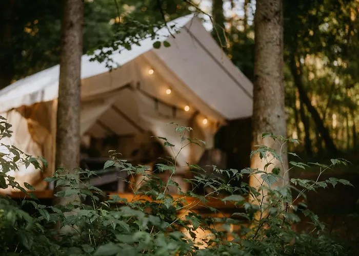 Kaluna Glamp Jungle Swaderki